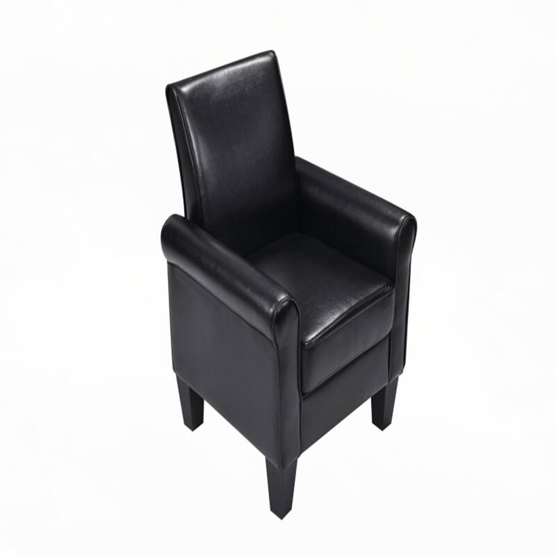 Accent Chairs, Comfy Sofa Chair, Black