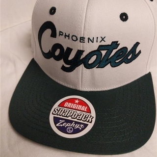 vintage coyotes hat