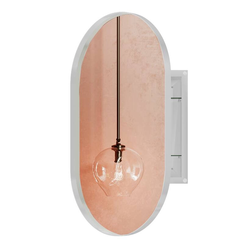 Wall Mount Metal Framed Medicine Cabinet with Storage