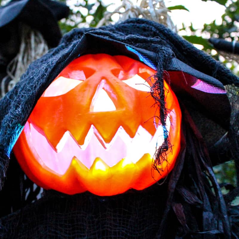 Haunted Hill Farm Life-Size Poseable Pumpkin Witch with Lights and Sound, Indoor/Covered Outdoor Halloween Decoration