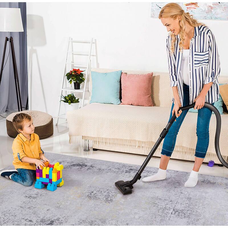 Area Rugs 2'6"x10"' Living Room,Washable Rug,Low-Pile,Non-Slip,Non-Shedding,Foldable,Kid & Pet Friendly for living room