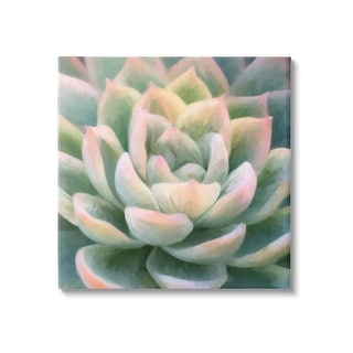 Stupell Green Succulent Petals Canvas Wall Art Design by Amy Hall - On ...