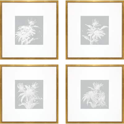 Echinacea S/4 Framed Art Giclee Under Glass - Blue
