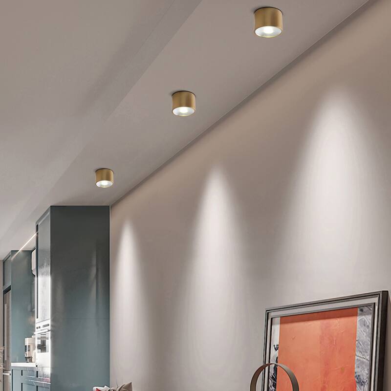 LED Flush Mount Ceiling Light Modern Light Fixtures Ceiling