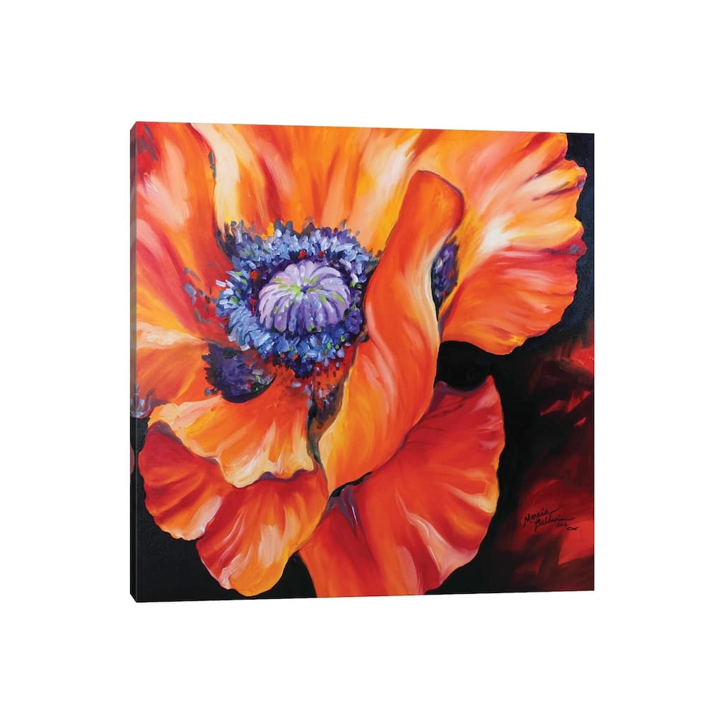 iCanvas "Heart Of A Red Poppy" by Marcia Baldwin Canvas Print