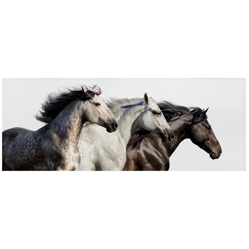 "Trilogy 1" Horse Wall Art Frameless Free Floating Tempered Glass Panel