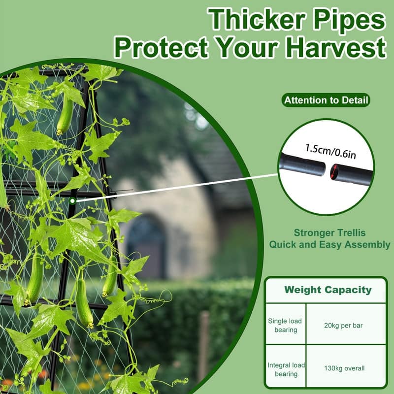 Vegetable Fruit Flower Trellis for Raised Bed Frame Garden Arch Metal Plant Support for Climbing Plants Cucumber Outdoor