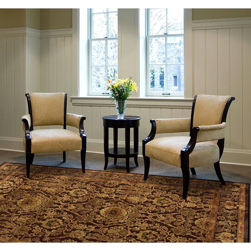Saphir Transitional Chenille Rug, Chocolate/Golden, Area Rug