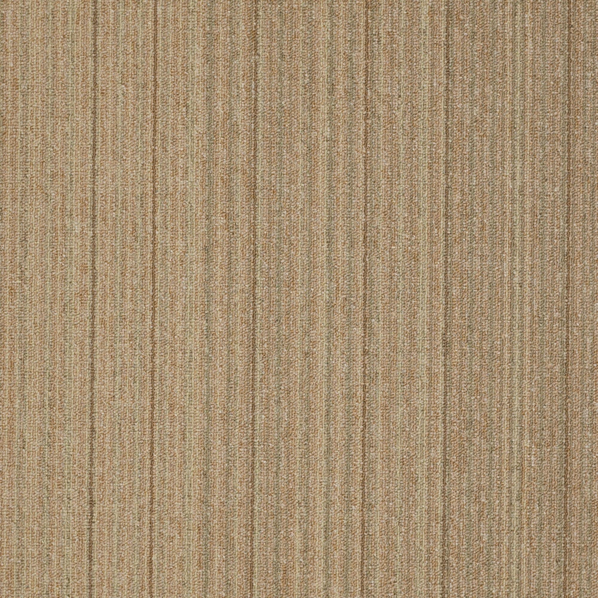 Shaw Philadelphia Commercial Lucky Break 24" x 24" Glue Down Carpet