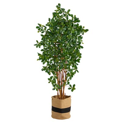 6' Black Olive Artificial Tree in Handmade Natural Cotton Planter