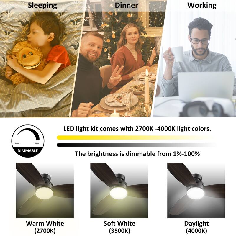 CARRO Quest 48" Smart Ceiling Fan with Light and Remote Control