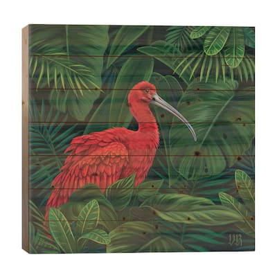 Scarlet Ibis Print On Wood by Vasilisa Romanenko - Multi-Color