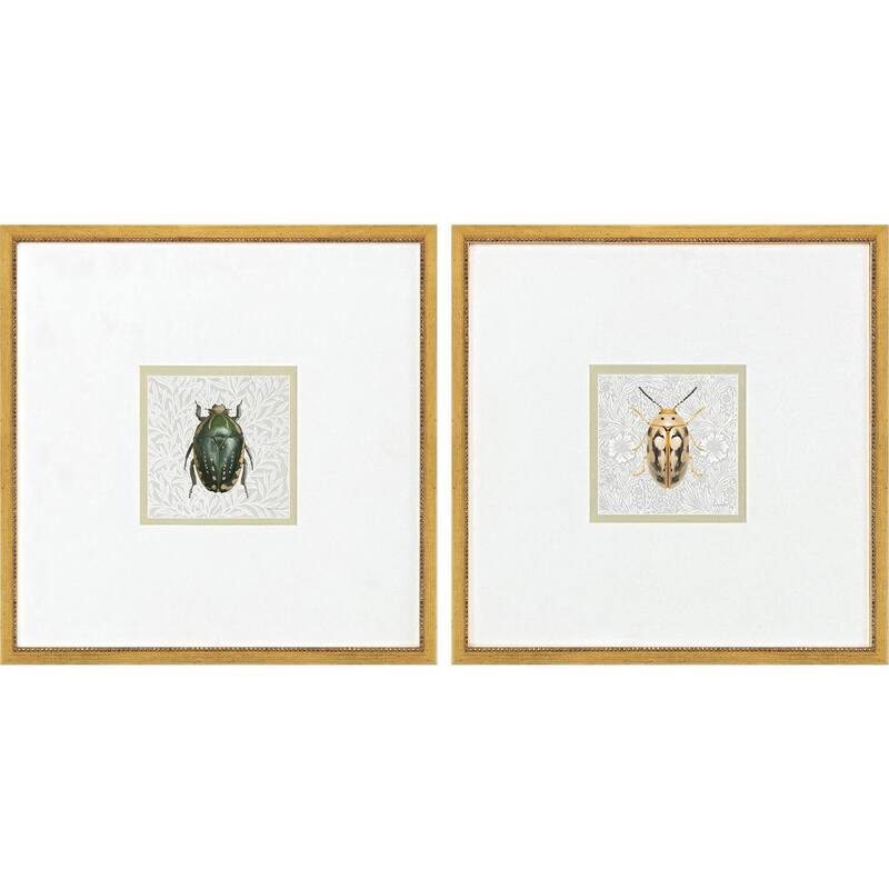 Paragon Beetles Framed Art - Set of 2