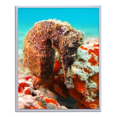 Ready2HangArt 'Seahorse' Framed Canvas Wall Art
