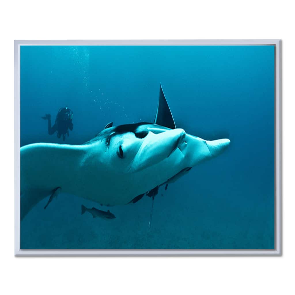 Ready2HangArt 'Ray' Framed Canvas Wall Art