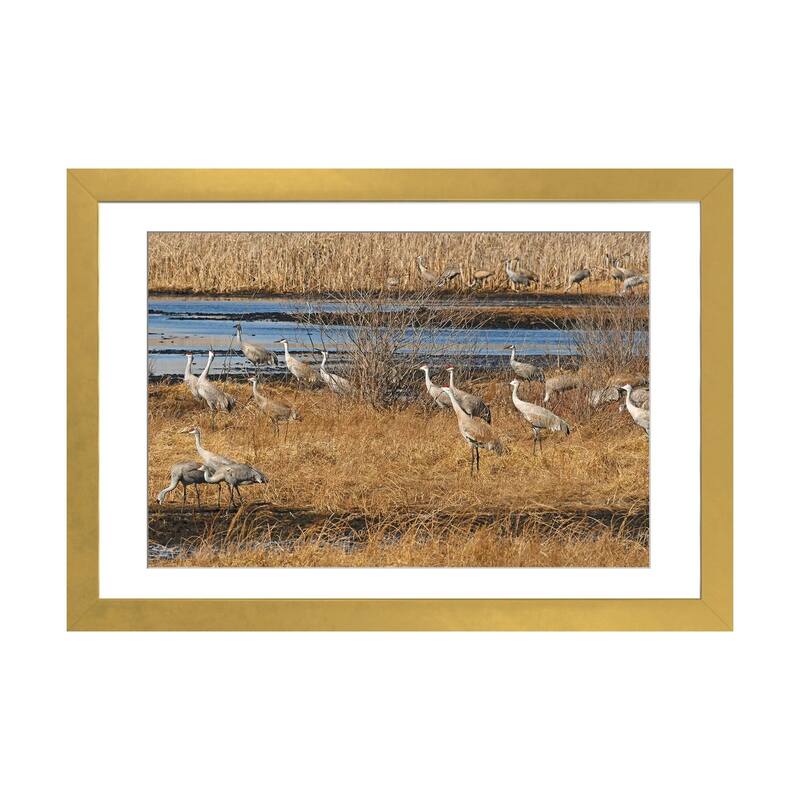 iCanvas "Sandhill Crane Migration" by Brian Wolf PFA - Gold - 16x24x1