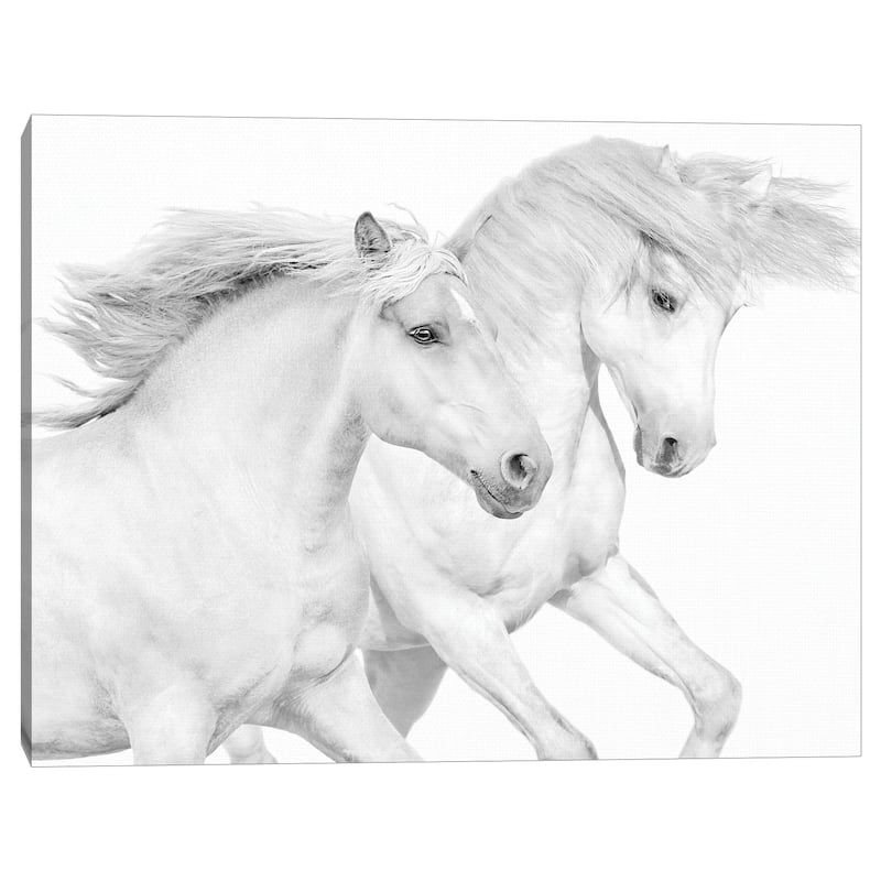 Duo II by Samantha Carter Canvas Art Print