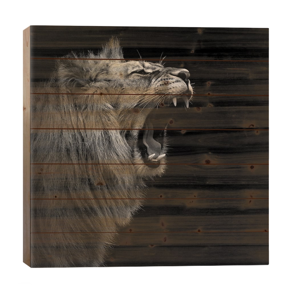 Lion In Black & White I Print On Wood by Lukas Holas - Multi-Color