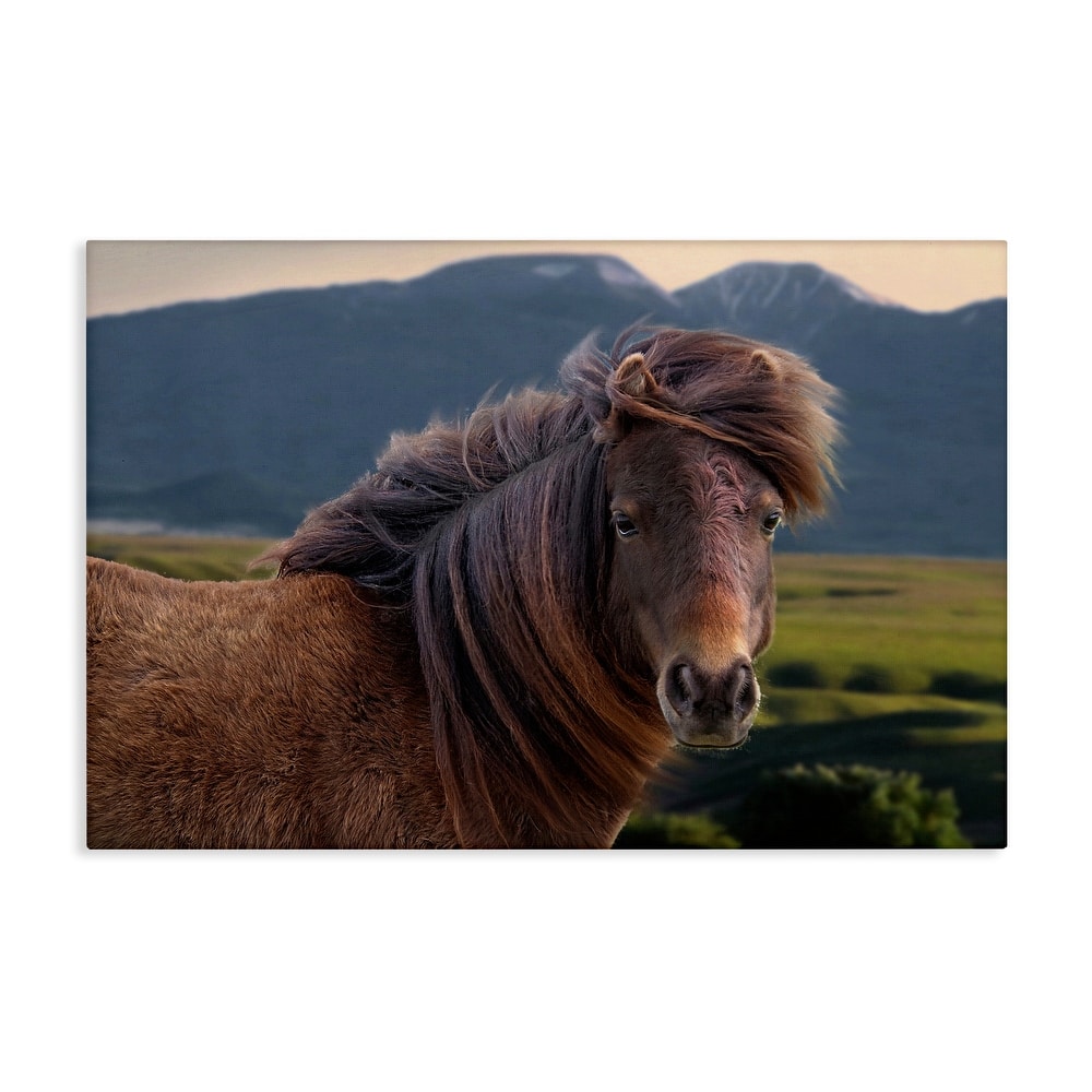 Stupell Windblown Mare in Mountain Valley Canvas Wall Art Design By Steve Toole