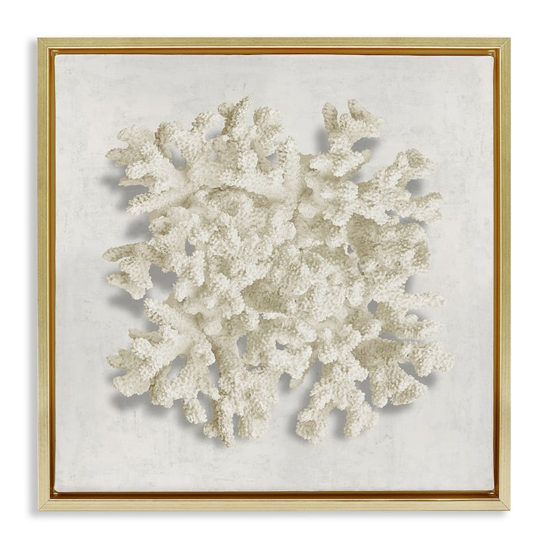 Stupell Aquatic Neutral Coral Framed Floater Canvas Wall Art Design By Caroline Kelly - 18 x 18 - Gold