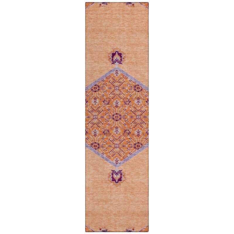 Machine Washable Indoor/ Outdoor Traditional Chantille Rug