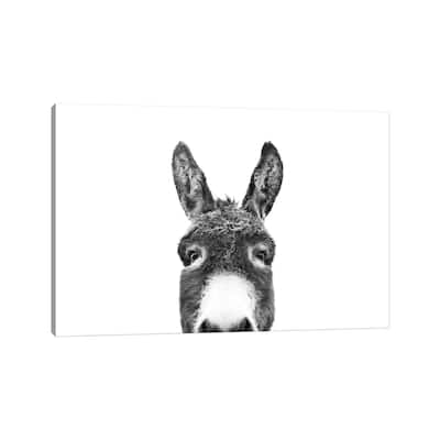 iCanvas "Peeking Donkey In Black & White" by Sisi & Seb Canvas Print