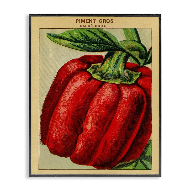 Stupell Country Vintage Pepper Framed Giclee Art Design By Lil' Rue - 16 x 20 - Black