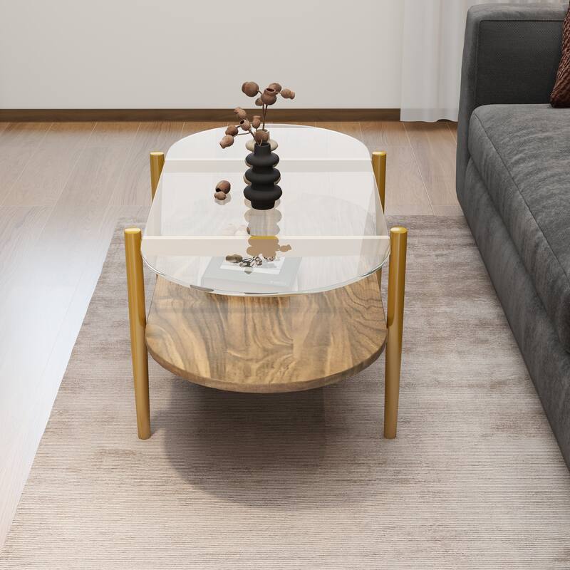 41 inch Medieval Modern Oval Glass Coffee Table, Double-Layer Storage with Transparent Top & MDF Base