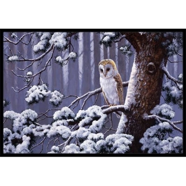 Carolines Treasures BDBA0303MAT Owl on a Tree Branch in the Snow Indoor or Outdoor Mat 18 x 27