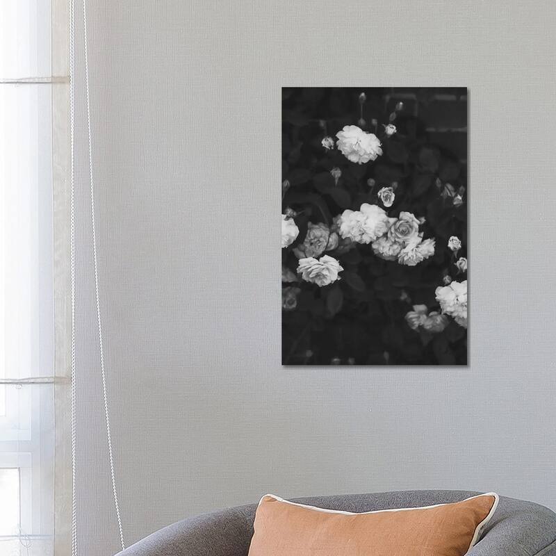 iCanvas "Black And White Roses" by Ruby and B Canvas Print - 26x18x1.5