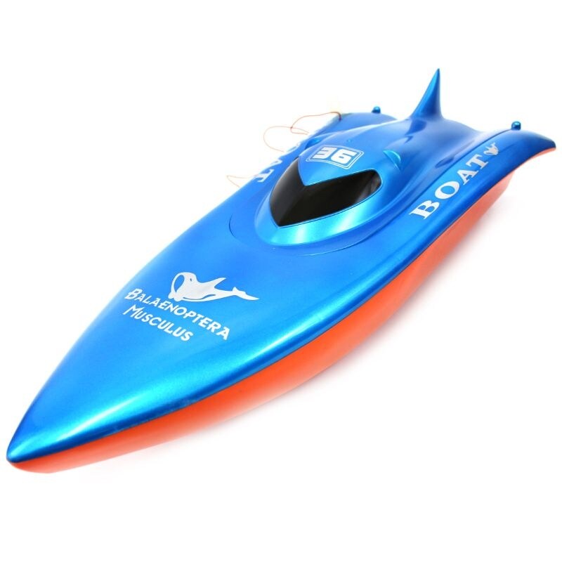 balaenoptera musculus rc boat