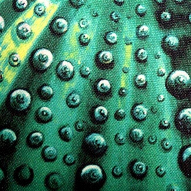 Jekyll Island Sea Urchin Throw Pillow