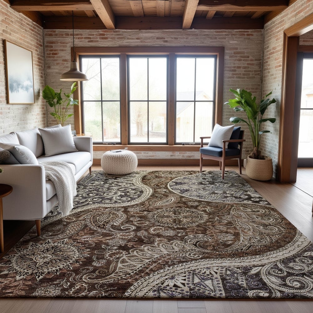Premium Washable Super Soft Modern Paisley Mayfield Rug