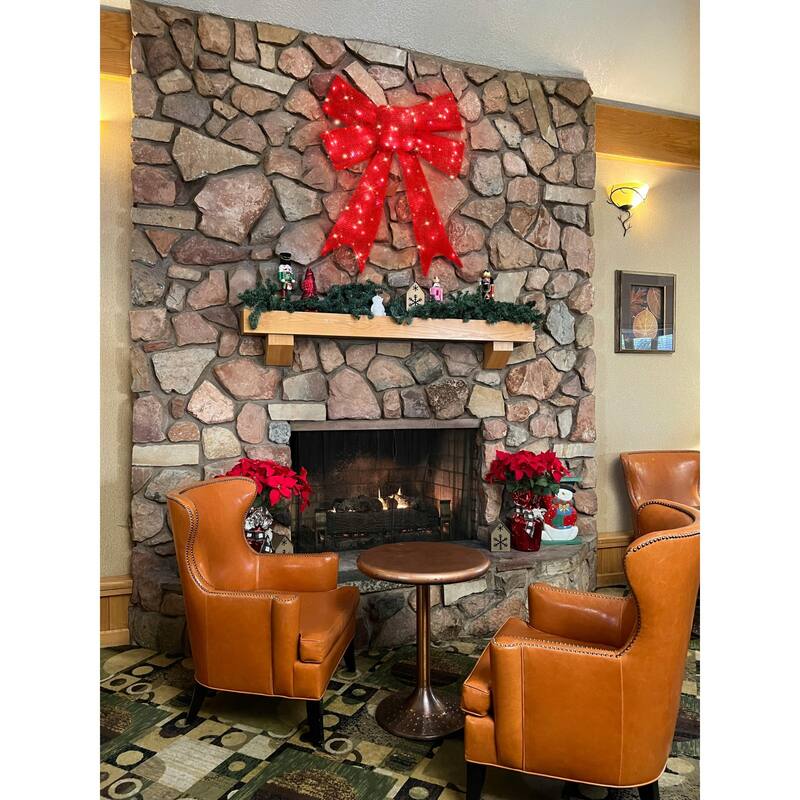 LED Lighted Bow Christmas Wall Decoration - 30"