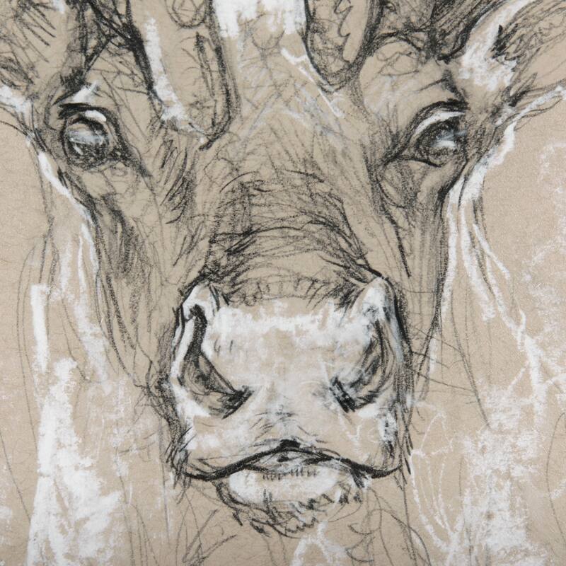 Sketch of Animal II (Caribou) Framed Art Print
