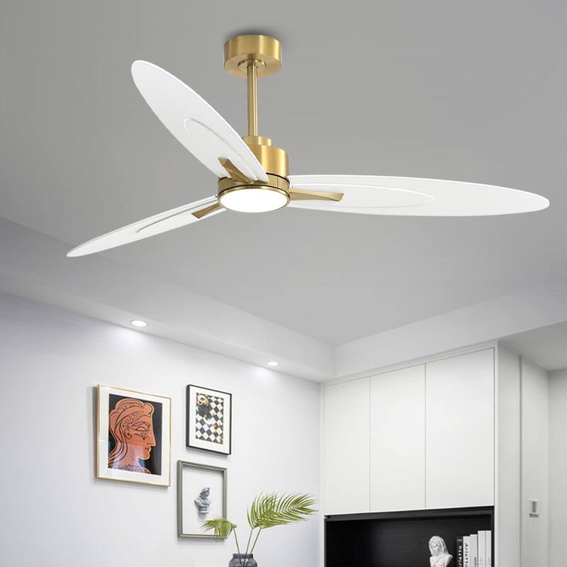 WINGBO 60-in 3-Blades Indoor Ceiling Fan with LED Light & Remote