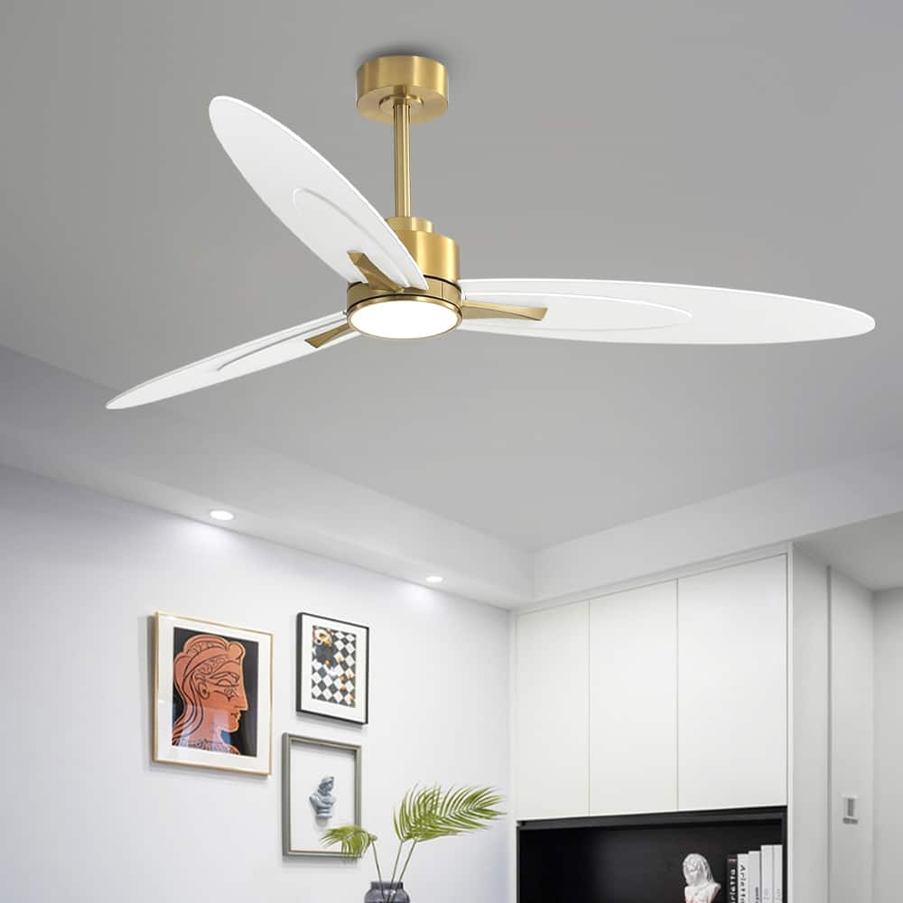 WINGBO 60-in 3-Blades Indoor Ceiling Fan with LED Light & Remote