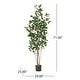 preview thumbnail 2 of 11, Atoka 5.5' x 2' Artificial Laurel Tree by Christopher Knight Home