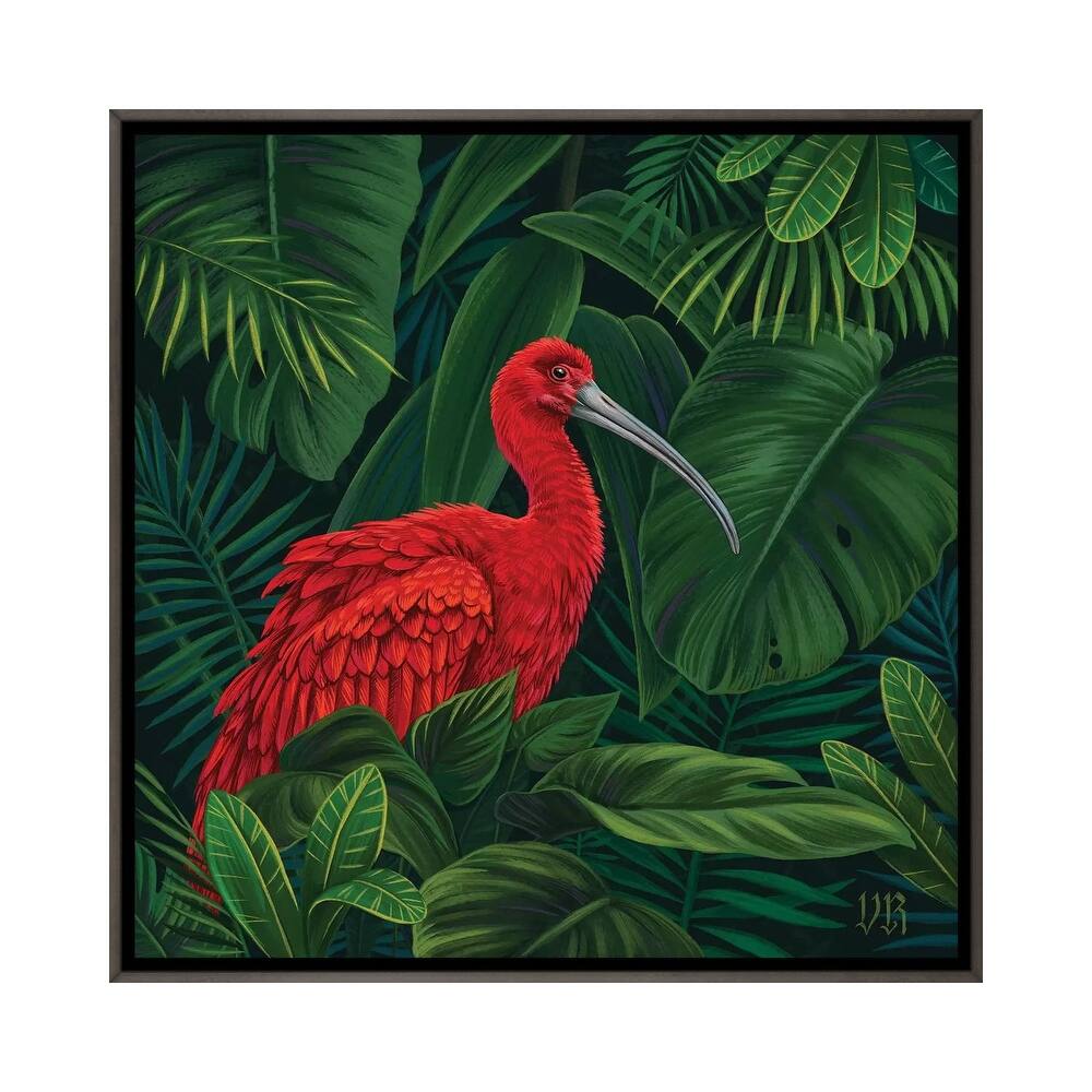 iCanvas "Scarlet Ibis" by Vasilisa Romanenko Framed