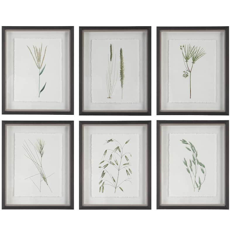 Uttermost Forest Finds Framed Prints, S/6 - 18 W x 22 H x 1.75 D (inches) - Dark Espresso and Rustic Gray