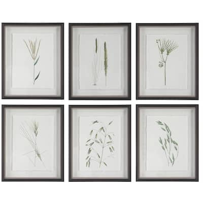 Uttermost Forest Finds Framed Prints, S/6 - 18 W x 22 H x 1.75 D (inches)