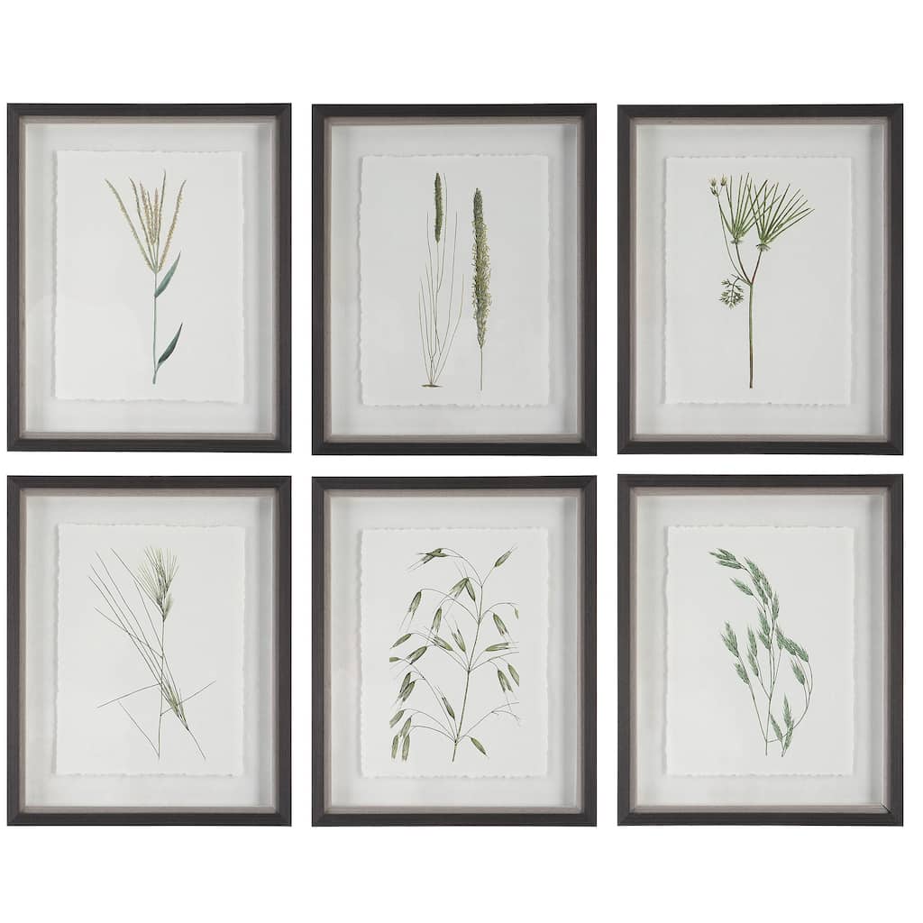 Uttermost Forest Finds Framed Prints, S/6 - 18 W x 22 H x 1.75 D (inches)