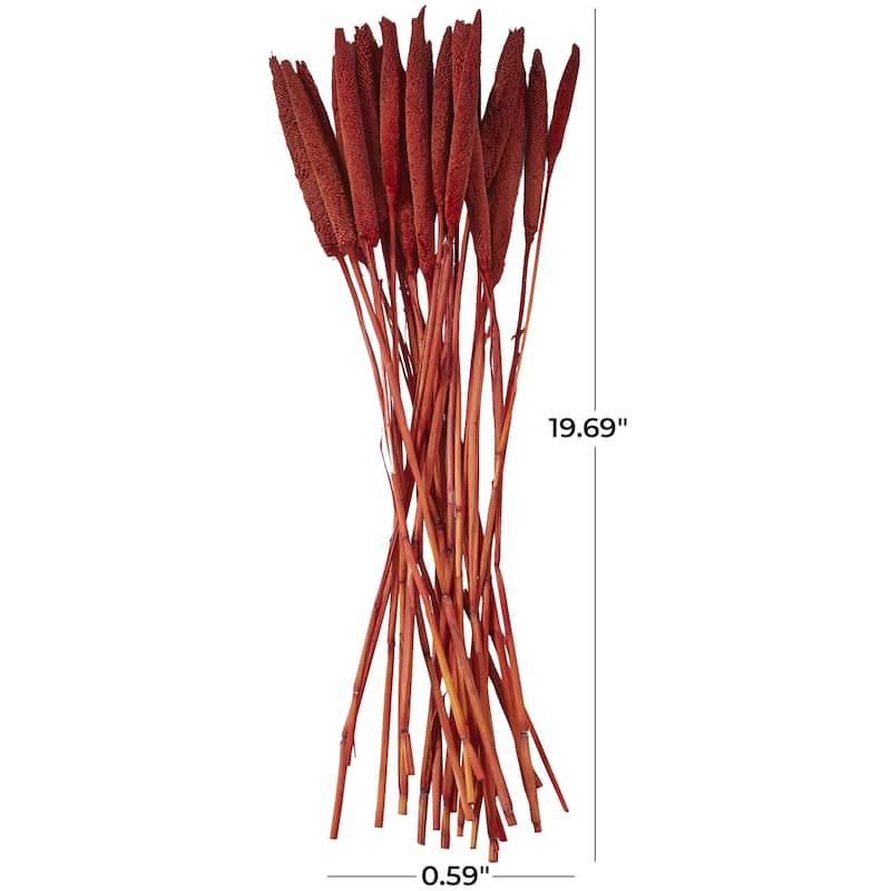Dried Plant Bunny Tail Home Decor Natural Foliage - White, Red, Dark Brown, Orange, Green, Pink, Yellow - Roche River Decor