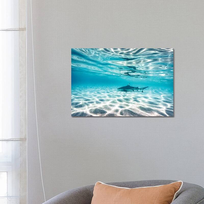 iCanvas "Underwater Reef Shark Shallow Water" by James Vodicka Canvas Print - 18x26x1.5