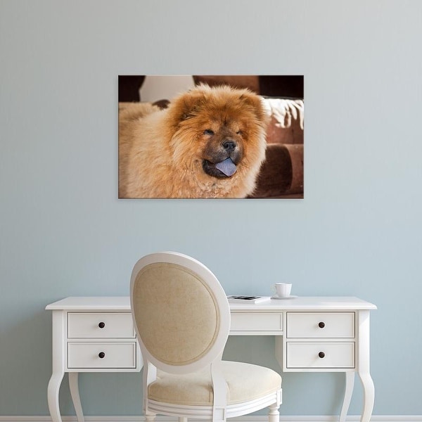 Easy Art Prints Zandria Muench Beraldo's 'A Chow Chow Puppy Standing Indoors' Premium Canvas Art