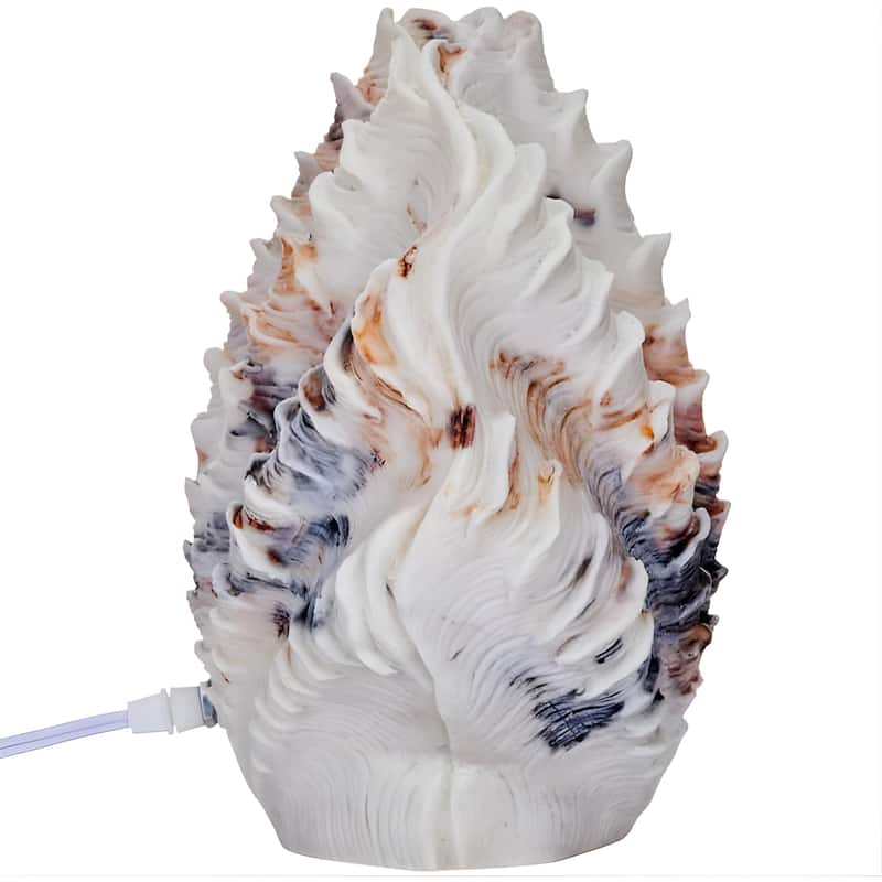 Aria Home Scallop Shell Table Lamp Sculpted Sandstone coastal accent