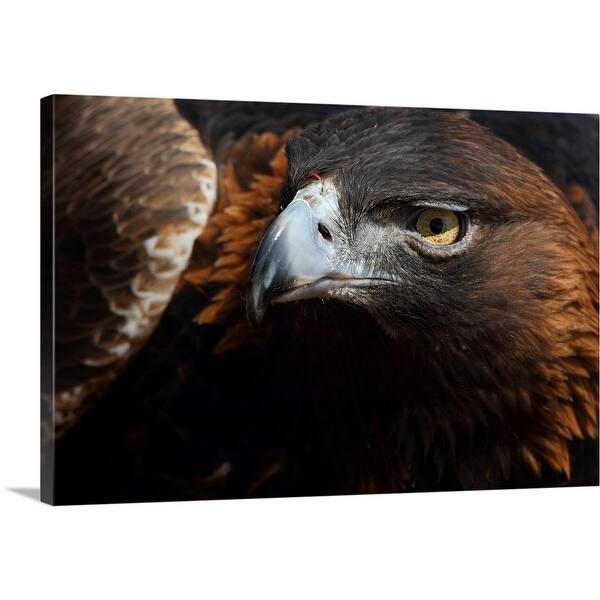 Shop Premium Thick Wrap Canvas Entitled Golden Eagle Multi