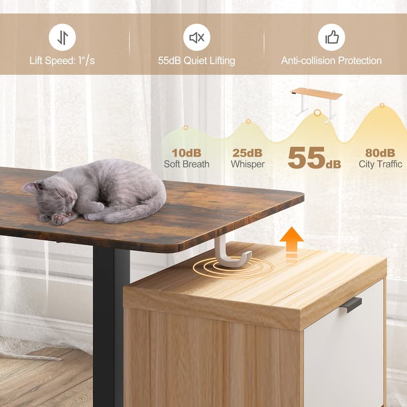 Electric Standing Desk with Memory Heights and Cable Management