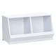 preview thumbnail 26 of 184, Riley Modular Stacking Storage Bins by iNSPIRE Q Junior 2 Boxes - White