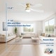 preview thumbnail 12 of 67, 52"/66" Inch Ceiling Fan with Light,APP and Remote Control, Low Profile,Smart Optional